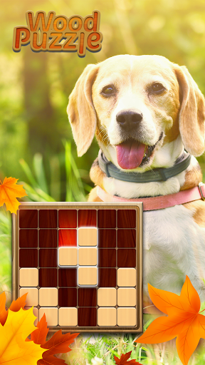 Download Wood Block Puzzle 1010 1.0.15 screenshots 1