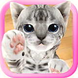 3D Cute Cat Live Wallpaper icon