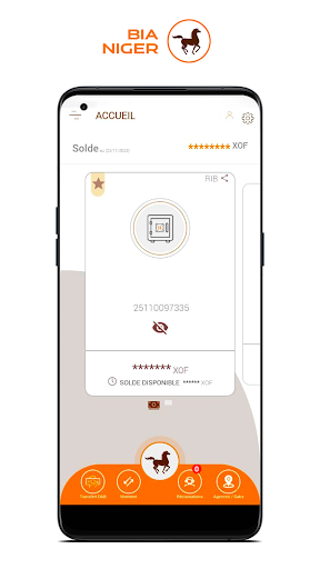 BIA Niger Mobile Screen 3