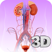 Top 25 Medical Apps Like Urinary System Pro. - Best Alternatives