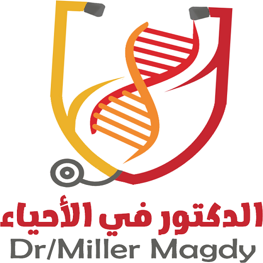 The Doctor- Dr.Miller Magdy logo
