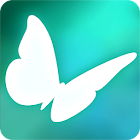 Flutter VR 1.01.58