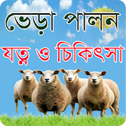 ভেড়া পালনে যত্ন ও চিকিৎসা - Sheep Care and Farming