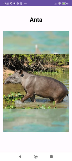 Android application Animais Brasileiros screenshort