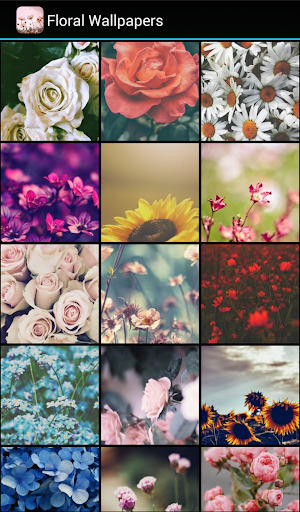 Floral Wallpapers Screen 2