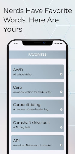 Automobile Dictionary Screen 2