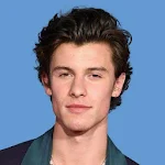 Cover Image of 下载 SHAWN MENDES ALL SONGS MUSIC OFFLINE 1.0 APK