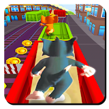 Subway Tom Run Jerry Adventure icon