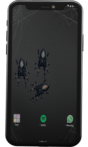 Angry Spiders Live Wallpaper Screenshot 2 - AppWisp.com