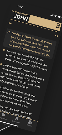 Insight Bible Screen 2