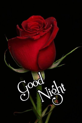 Android application Good Night Love Images 2024 screenshort