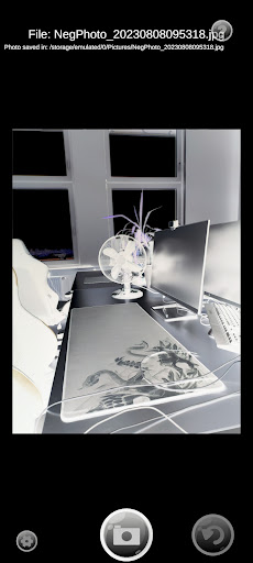 Negative Film Roll Viewer Screen 2