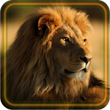 Lions African live wallpaper icon