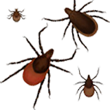 Lyme Disease Safety Lite icon