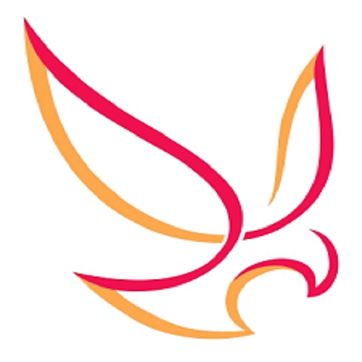 BALAJI INVESTMENT logo