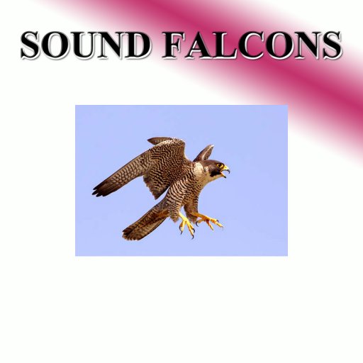 Hawk sounds to birds  Icon