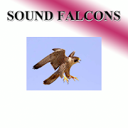 Hawk sounds to birds