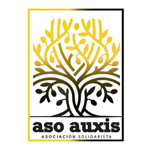 ASOAUXIS 1.0 Icon