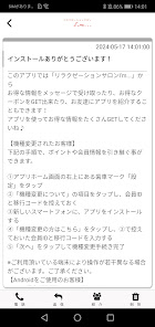Screenshot image