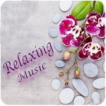 Cover Image of Download Relaxing Music  APK
