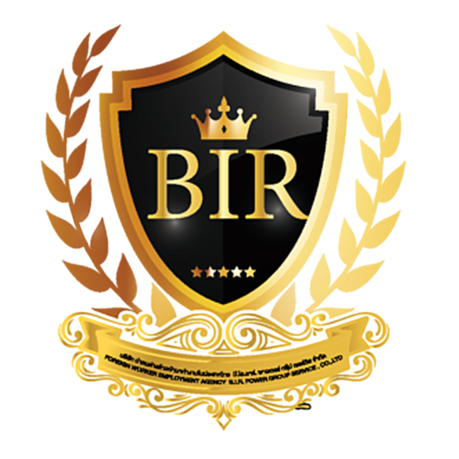 BIR Visa logo