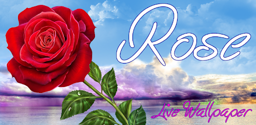 Rose Magic Touch Flowers Apps On Google Play