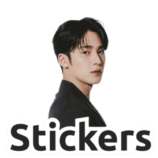 Mingyu Stickers Download on Windows