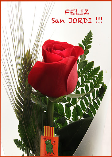 Feliç Sant Jordi Screen 2
