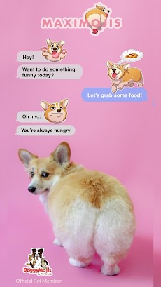 MaxiMojis - Corgi Dog Stickersのおすすめ画像1