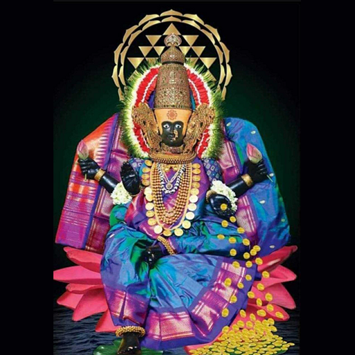 Shree Mahalaxmi Net logo
