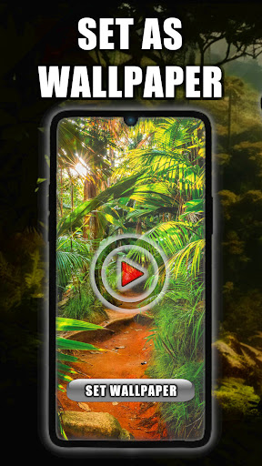 Jungle Live Wallpaper Screenshot 1 - AppWisp.com