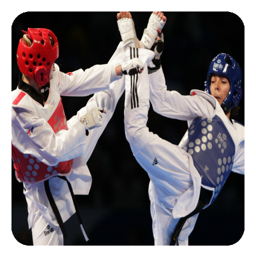 Taekwondo Guide 1.1 Icon