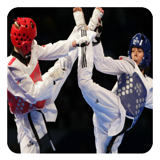 Taekwondo Guide  Icon