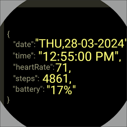 Icon image Watch Face Digital JSON D1