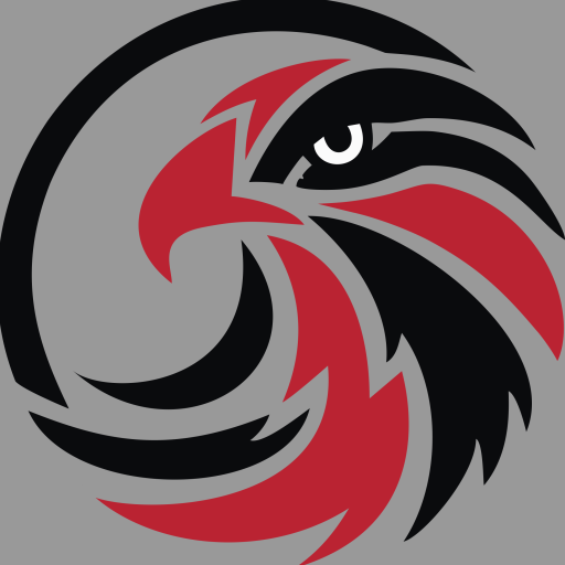 Radio Vibra logo