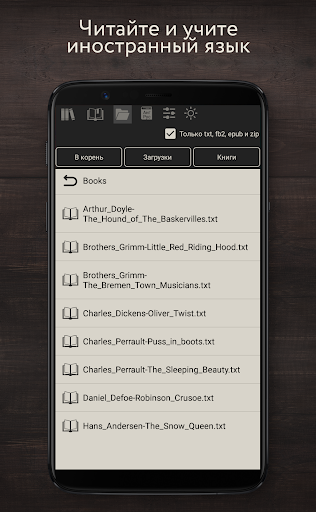 Ридер с переводом премиум