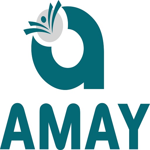 Amay Career Institute logo