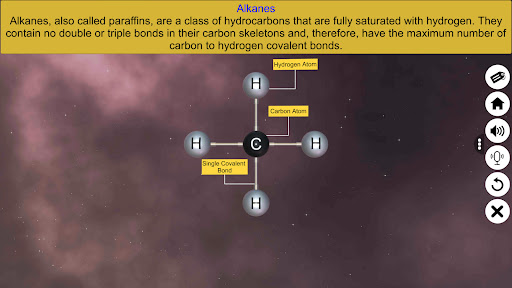 Saturated and Unsaturated Carbon