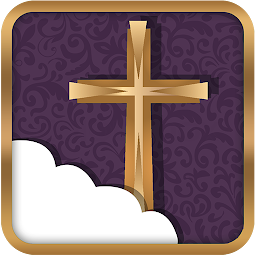 Icon image Offline Bible Audio App