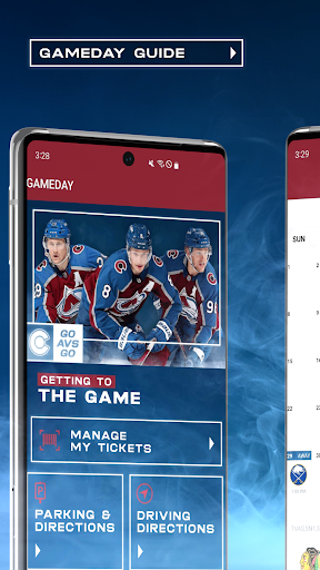 Colorado Avalanche Screen 3