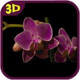 Orchids flowers Live Wallpaper icon