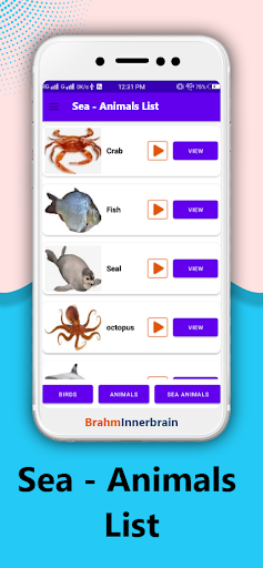 150 Animals And Birds Sounds