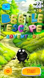 Beetle Escape Adventure