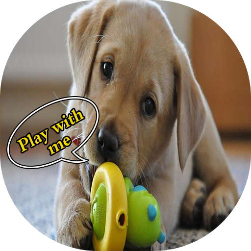 樹皮翻訳者 犬とコミュニケーション Google Play のアプリ