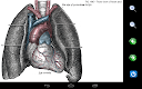 screenshot of Visual Anatomy Lite