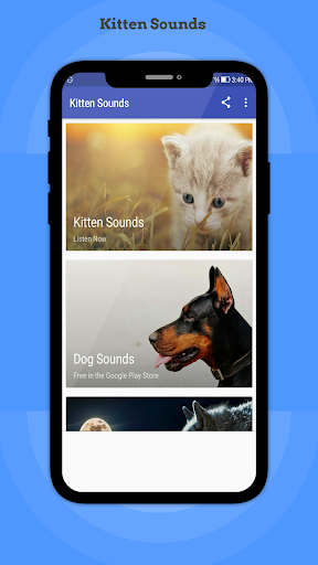 Kitten Sounds Screenshot 1 - AppWisp.com