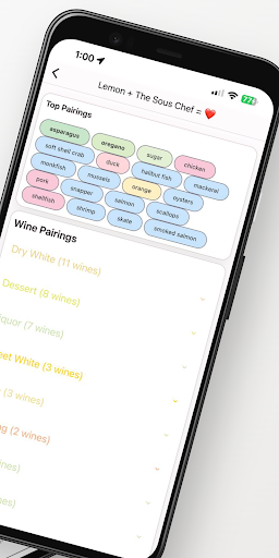 The Sous Chef Lite: Recipes Screen 2