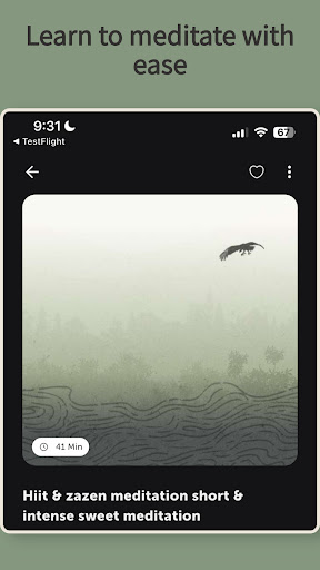 Screenshot of Taoist Yoga & Meditation