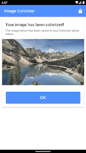 Image Colorizer - Colorize B&W Screenshot