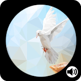 Ven Espiritu Santo Oracion con Audio icon